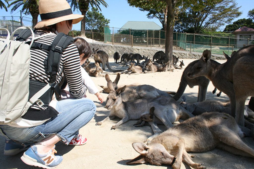 カンガルー広場