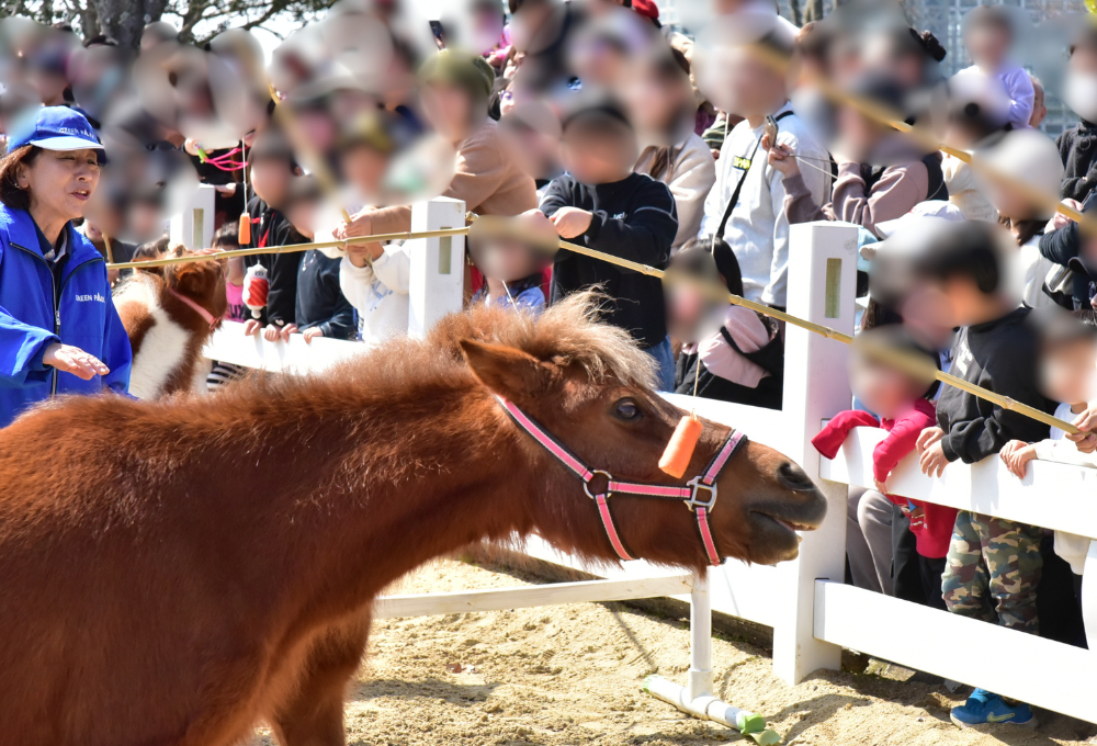 にんじん早食いレースの様子