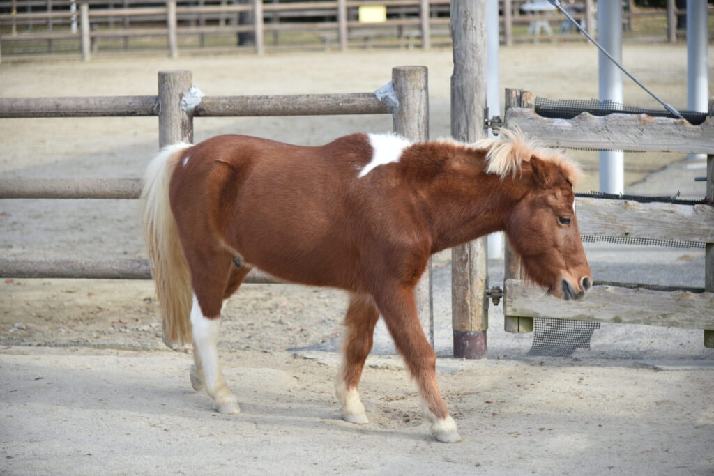 第2位　たっくん
